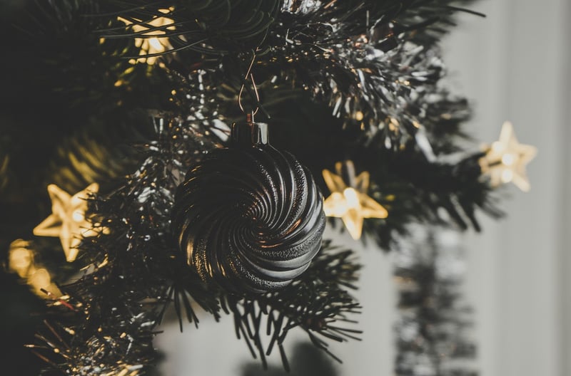 Winter Evergreens